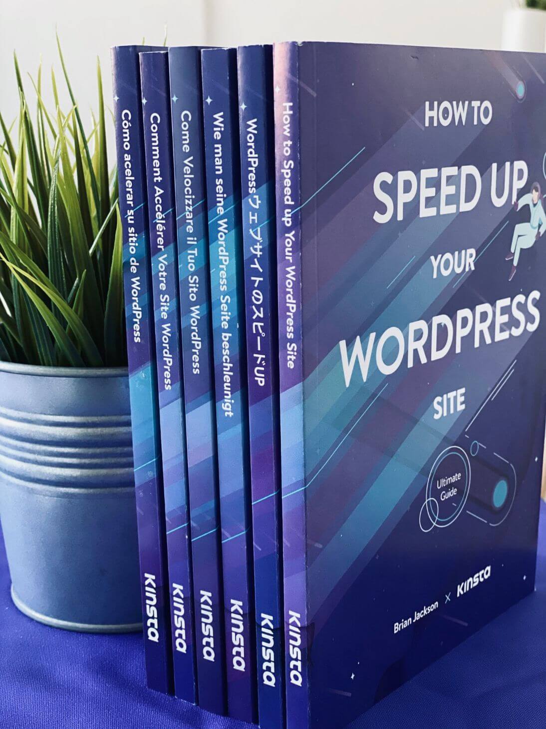 Wie man seine WordPress-Webseite beschleunigt Bücher
